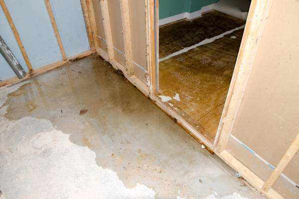 Water Damage Repair Services